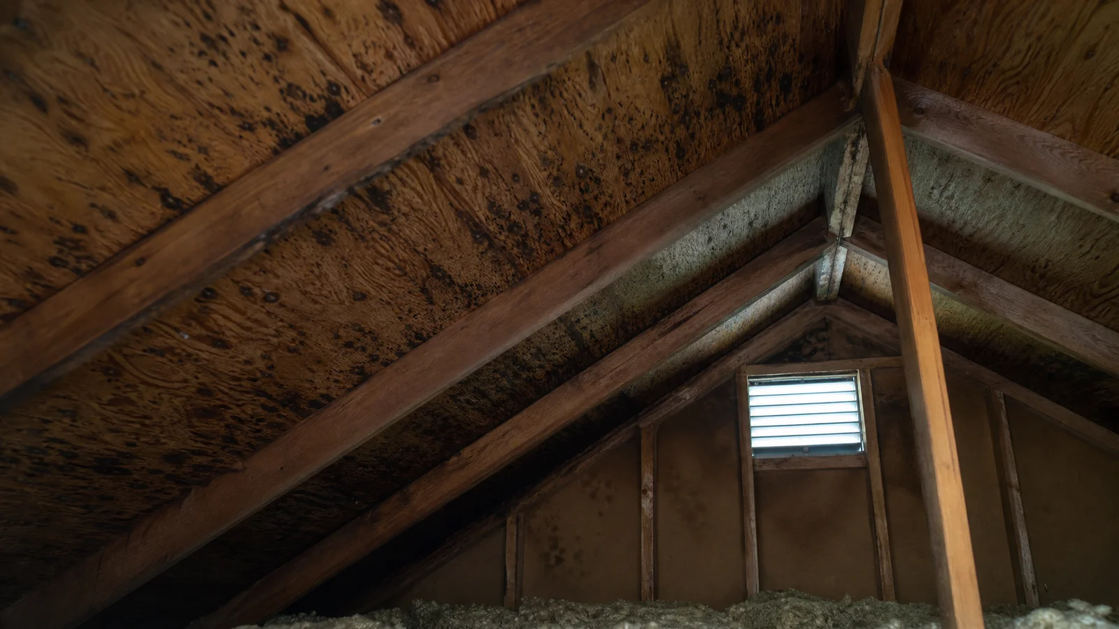 Moldy attic sheathing from poor ventilation