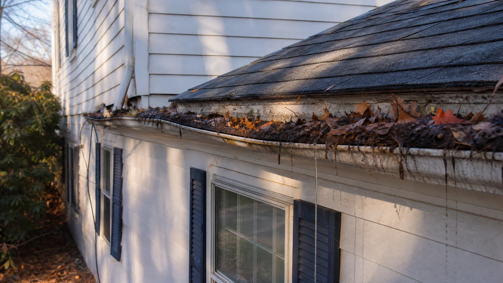Gutter & Roof Drainage Repair